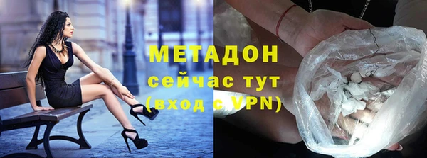 индика Ладушкин