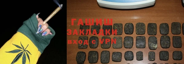 индика Ладушкин