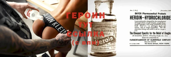 индика Ладушкин