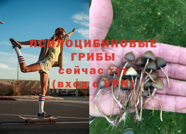 экстази Лабытнанги