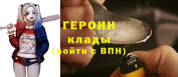 индика Ладушкин