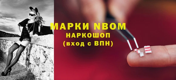 индика Ладушкин