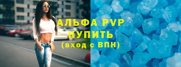 индика Ладушкин