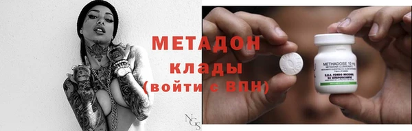индика Ладушкин