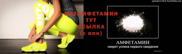 индика Ладушкин