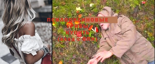 экстази Лабытнанги