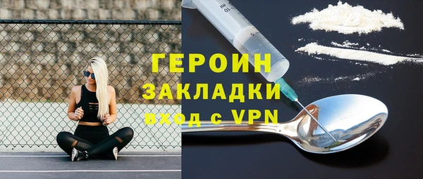 индика Ладушкин