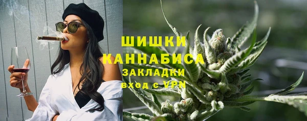 индика Ладушкин