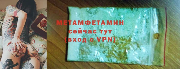 индика Ладушкин
