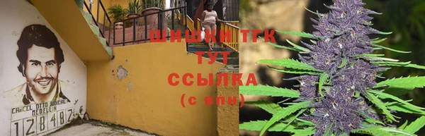 индика Ладушкин