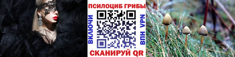 Псилоцибиновые грибы прущие грибы  Сухой Лог 