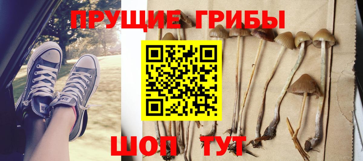 Псилоцибиновые грибы GOLDEN TEACHER Сухой Лог